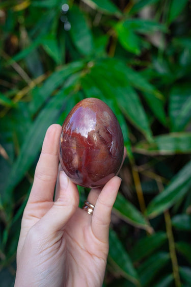 Petrified Wood Egg